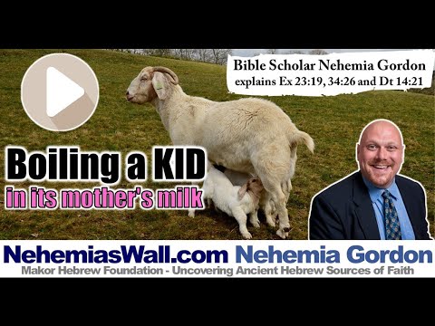 Hebrew Voices #132 – Boiling a Kid in its Mother’s Milk