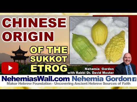 Hebrew Voices #78 – Chinese Origin of the Sukkot Etrog