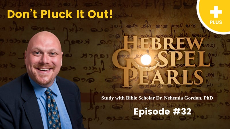 Hebrew Gospel Pearls PLUS #32 – Don’t Pluck It Out!