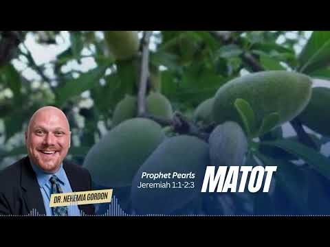 Prophet Pearls #42 – Matot (Jeremiah 1:1-2:3)