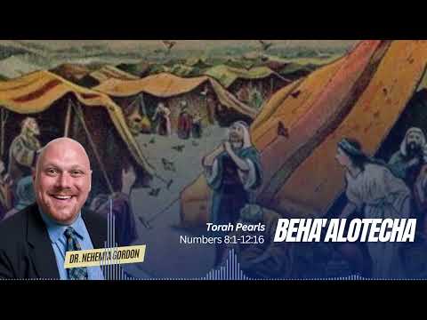 Torah Pearls #36 – Beha’alotecha (Numbers 8:1-12:16)