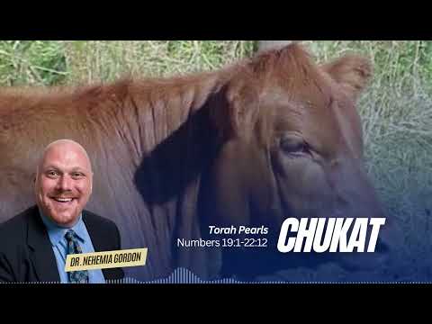 Torah Pearls #39 – Chukat (Numbers 19:1-22:1)