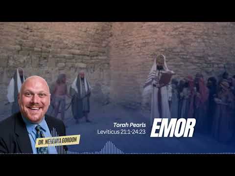 Torah Pearls #31 – Emor (Leviticus 21:1-24:23)