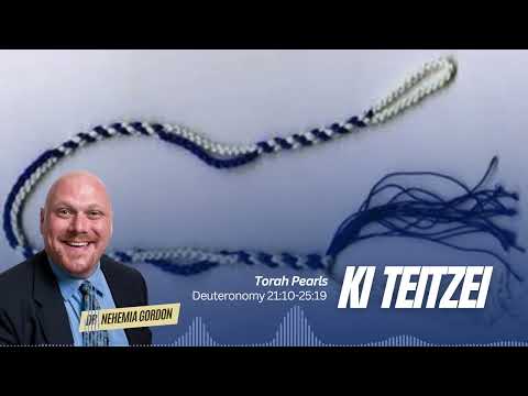 Torah Pearls #49 – Ki Teitzei (Deuteronomy 21:10-25:19)