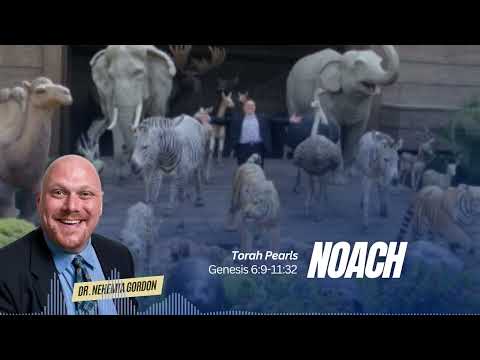 Torah Pearls #2 – Noach (Genesis 6:9-11:32)