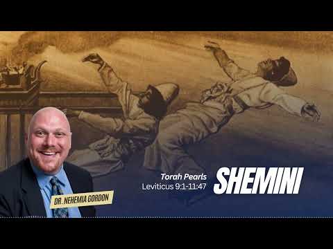 Torah Pearls #26 – Shemini (Leviticus 9:1-11:47)