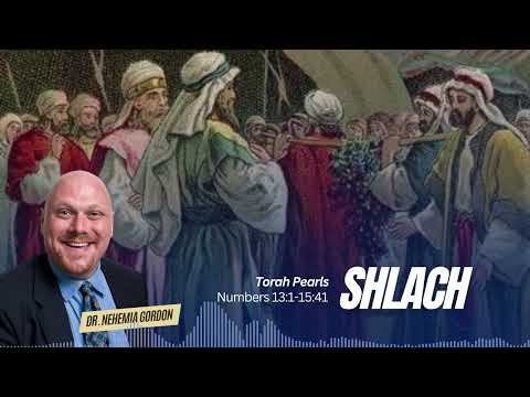Torah Pearls #37 – Shlach (Numbers 13:1-15:41)