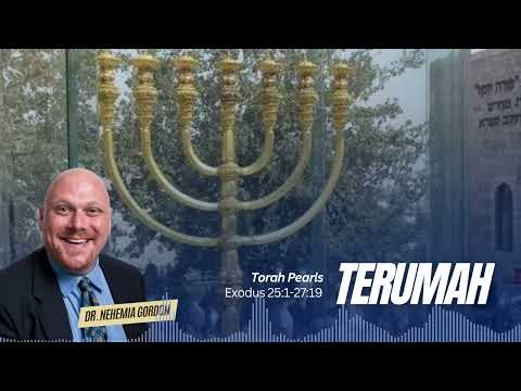 Torah Pearls #19 – Terumah (Exodus 25:1-27:19)