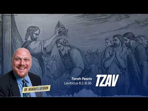 Torah Pearls #25 – Tzav (Leviticus 6:1-8:36)