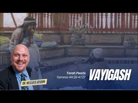 Torah Pearls #11 – Vayigash (Genesis 44:18-47:27)