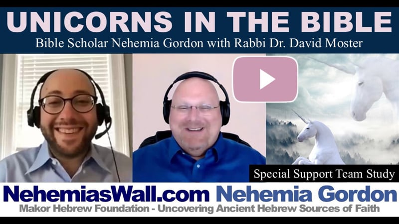 Support Team Study – Unicorns in the Bible