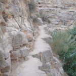 torah portion, torah pearls, prophets portion, prophet pearls, genesis, vayeitzei, Oseas