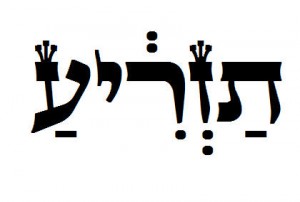 Torah Pearls Tazria, Leviticus, Nehemia Gordon, porción de Torah, semilla, impureza, nacimiento, niño, niña, lepra, Miriam, Naamán, tanakh, yehovah