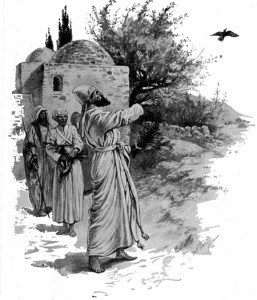 Perlas de la Torá Metzora, Metzora, Levítico, porción de la Torá, sangre, secreción, lepra, menstrual, menstruación, niddah, semilla, semen, yhvh, yehovah